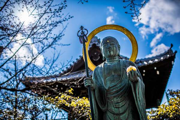 为什么命带紫薇福星 命里带紫薇？